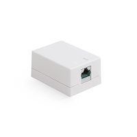 Caja para superficie, Categoría 6A, 1xRJ45/s, jack keystone incluidos
